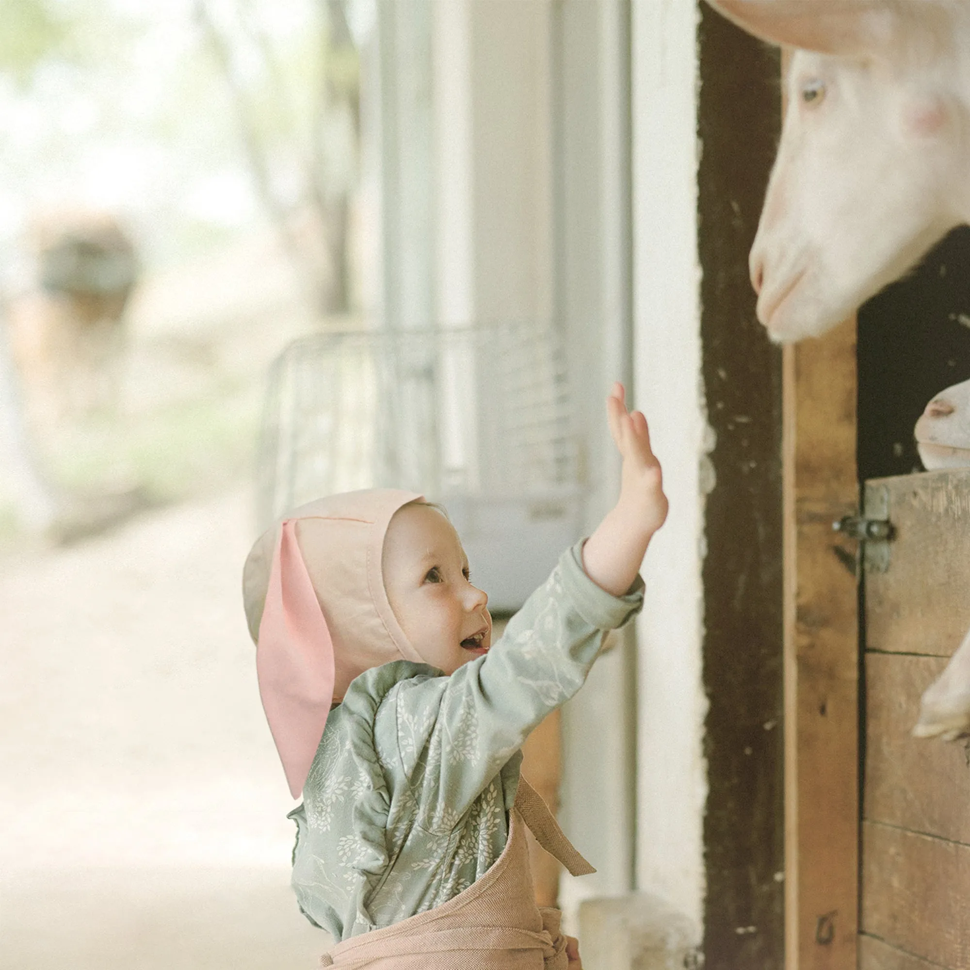 Baby Bunny Bonnet Muslin Lined Rabbit Hat | Warm Grey