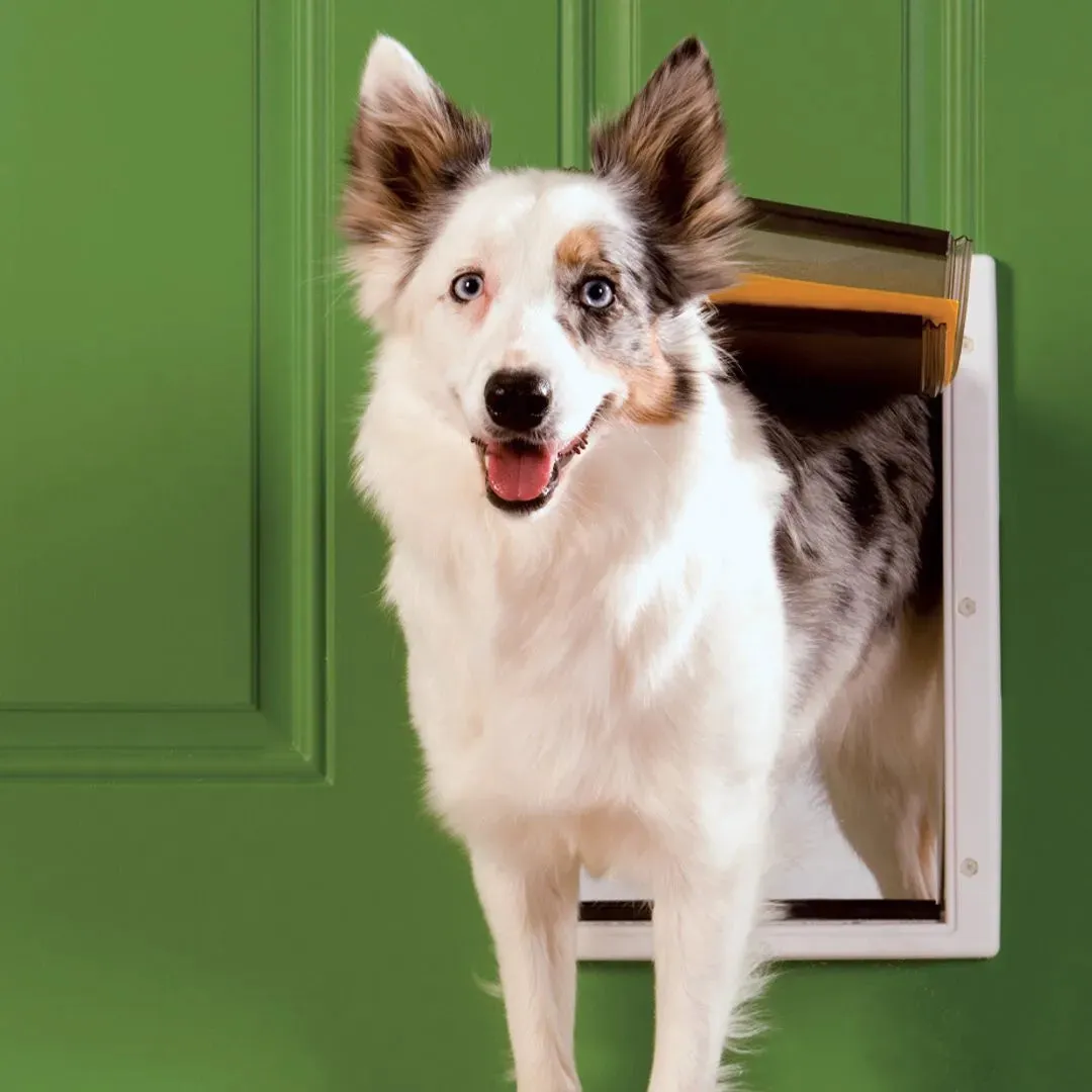 Petsafe Extreme Weather Door Small Dog